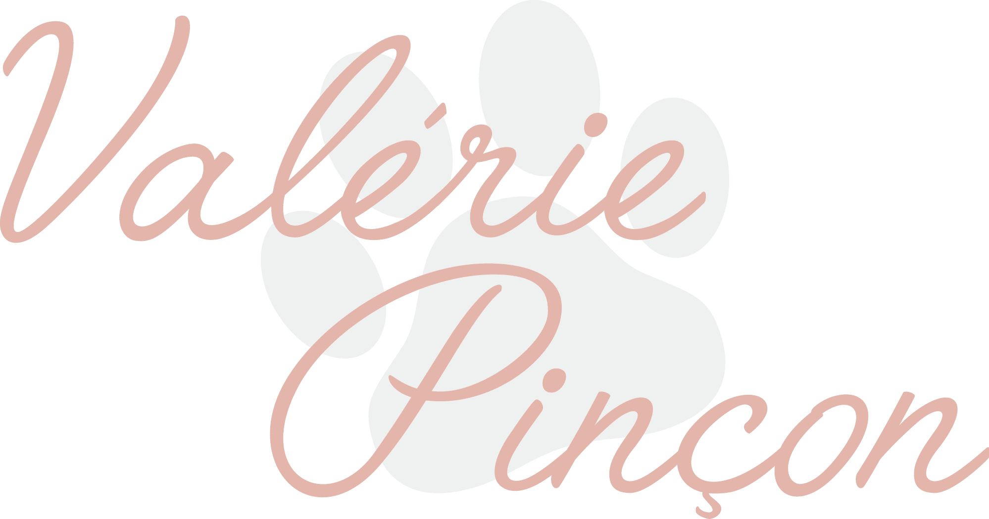 logo horizontal de Valérie Pinçon, comportementaliste félin à Nantes avec une empreinte de patte de chat